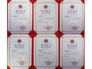 <b>直線（拉繩）位移傳感器標準起草榮譽證書</b>