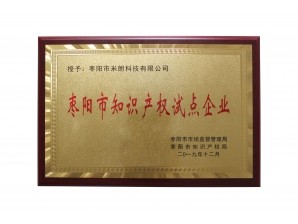 <b>棗陽市知識產權試點企業</b>